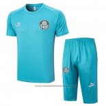 Tracksuit Palmeiras Short Sleeve 2023-2024 Green - Shorts