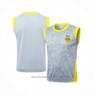 Training Shirt Borussia Dortmund Without Sleeves 2025-2026 Grey