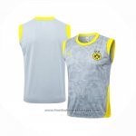 Training Shirt Borussia Dortmund Without Sleeves 2025-2026 Grey