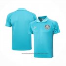 Polo Palmeiras 2023-2024 Green