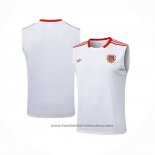 Training Shirt Bayern Munich Without Sleeves 2025-2026 White