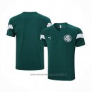 Training Shirt Palmeiras 2023-2024 Green