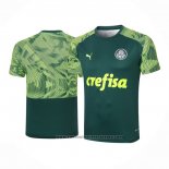 Training Shirt Palmeiras 2020-2021 Green