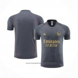 Training Shirt Arsenal 2023-2024 Grey