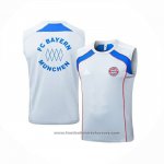 Training Shirt Bayern Munich Without Sleeves 2025-2026 Grey