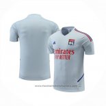 Training Shirt Lyon 2022-2023 Grey