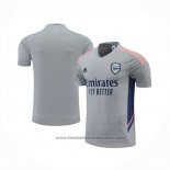 Training Shirt Arsenal 2022-2023 Grey