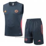 Tracksuit Bayern Munich Without Sleeves 2025-2026 Grey Dark