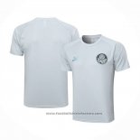 Training Shirt Palmeiras 2023-2024 Grey