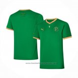 Thailand Palmeiras Special Shirt 2021
