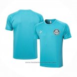 Training Shirt Palmeiras 2023-2024 Green