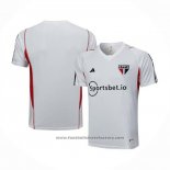 Training Shirt Sao Paulo 2023-2024 Grey