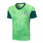 Training Shirt Palmeiras 2024-2025 Green