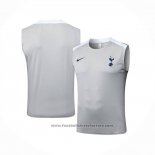 Training Shirt Tottenham Hotspur Without Sleeves 2025-2026 Grey